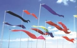 Wind Dancer – Solid