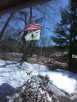 Original Maine Historic Flag -Flags and Banners Store american and original maine