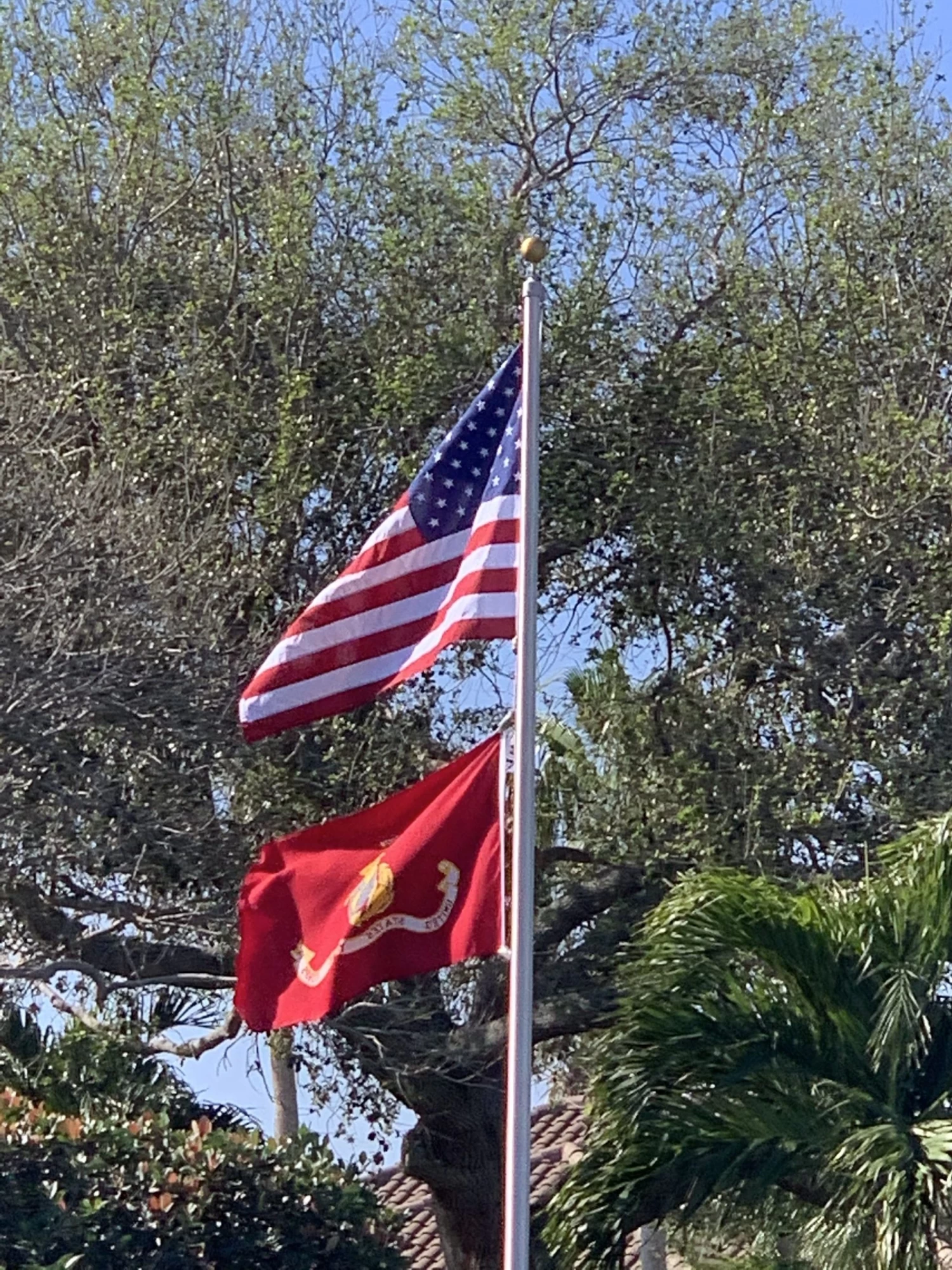 US Marine Corps Flag - Official Seal 8 US Marine Corps Flag - Official Seal - Image 8