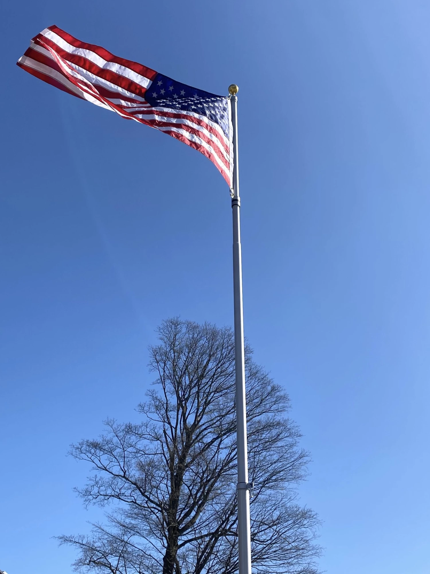 20' Presidential In-Ground Telescoping Residential Flagpole 1 20' Presidential In-Ground Telescoping Residential Flagpole