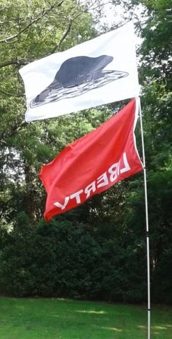 Original New York State Black Beaver Flag Of 1775 13 Original New York State Black Beaver Flag Of 1775 -Flags and Banners Store liberty huntington and beaver nys flag