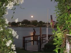 American Flag Windsock -Flags and Banners Store mag full moon