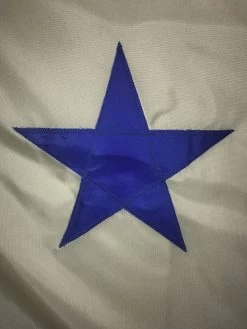 Original Maine Historic Flag -Flags and Banners Store pastedgraphic 6 1