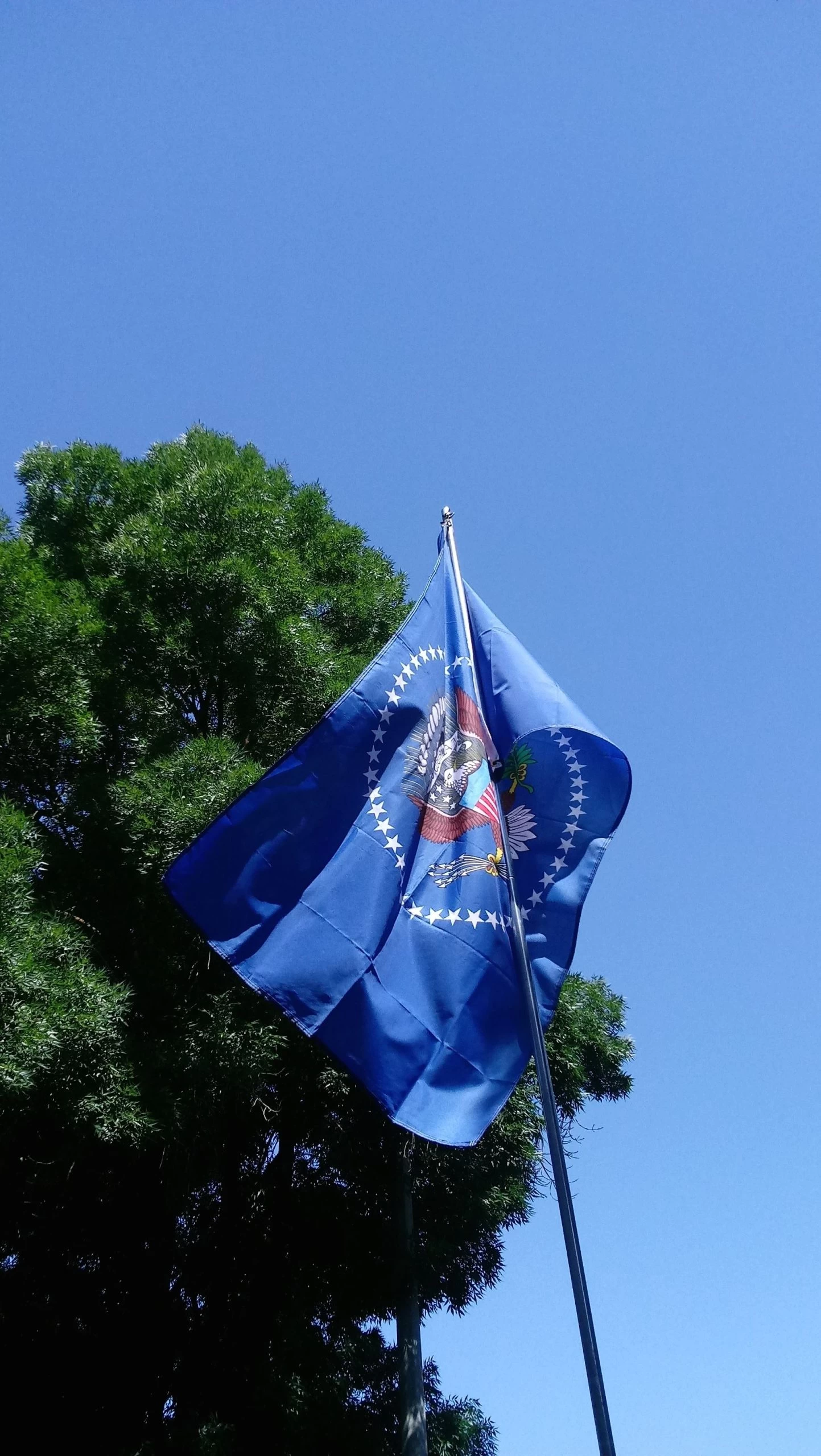 President Of USA Flag - 3x5' 2 President Of USA Flag - 3x5' - Image 2