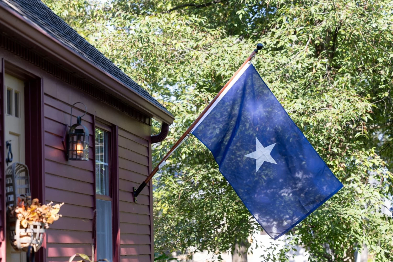 Bonnie Blue Flag - Choose Options 3 Bonnie Blue Flag - Choose Options - Image 3