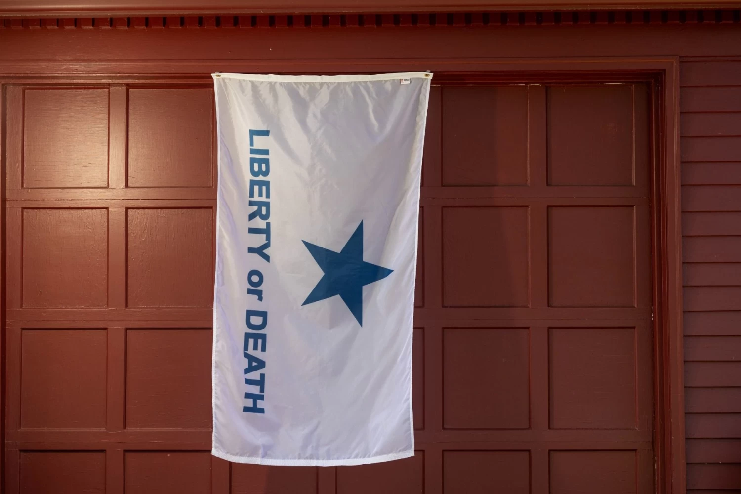 Liberty Or Death Lone Star / Troutman Flag 7 Liberty Or Death Lone Star / Troutman Flag - Image 7