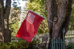 Brandywine Flag-Choose Options 11 Brandywine Flag-Choose Options -Flags and Banners Store r5 23749