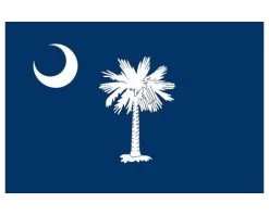 South Carolina Flag - Outdoor -Flags and Banners Store scarolina 1