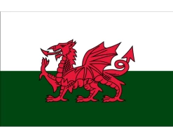 Wales Flag -Flags and Banners Store wales flag